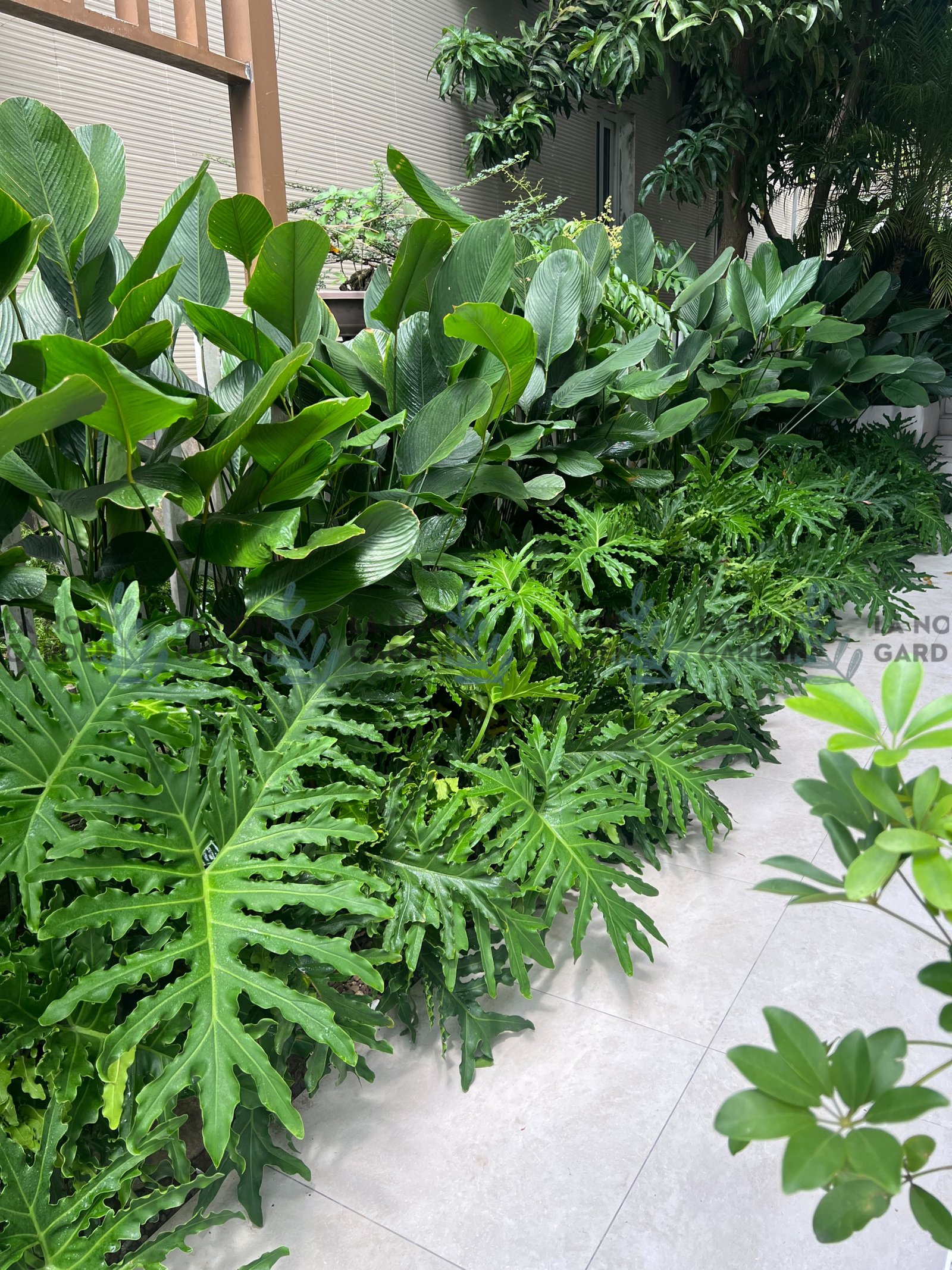 SÂN VƯỜN BIỆT THỰ JAMONA HOME RESORT