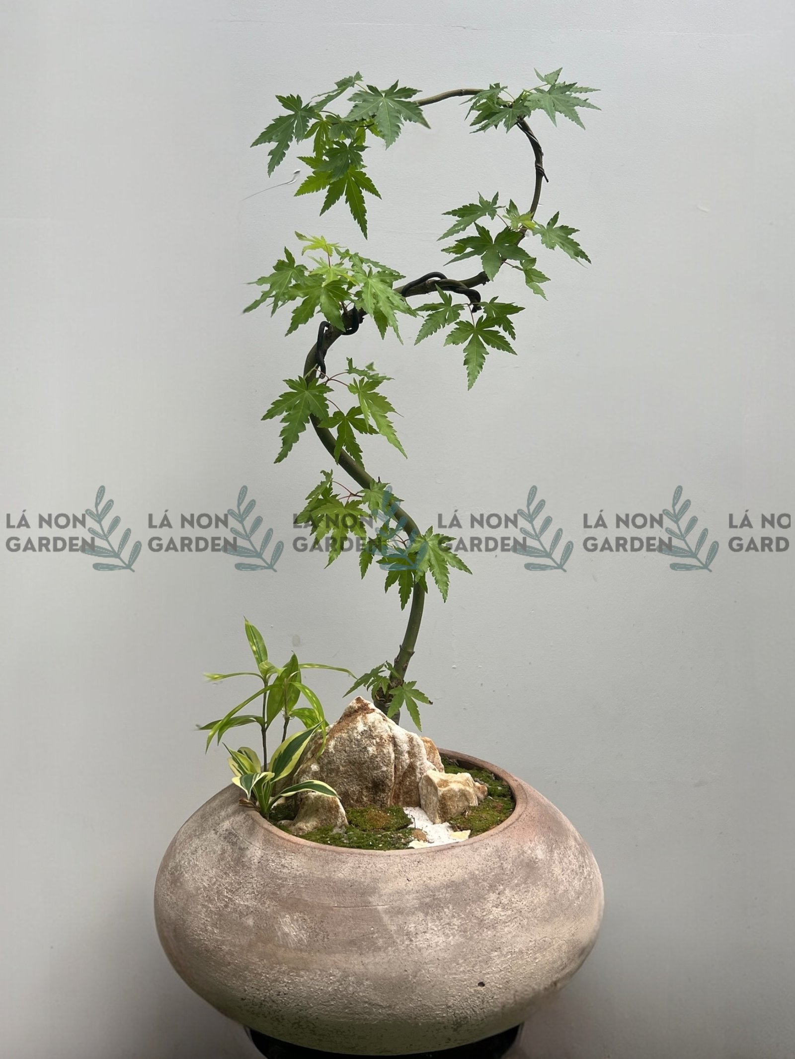 THANH “PHONG” ĐIỂM THẠCH