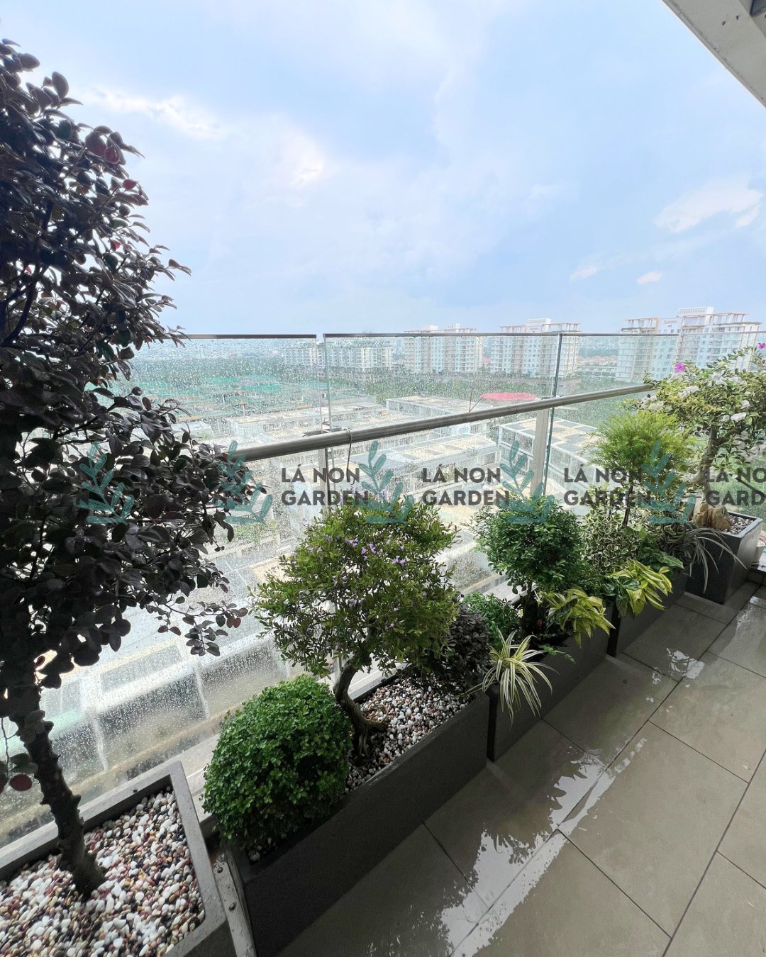 THANH ÂM NGÀY MƯA