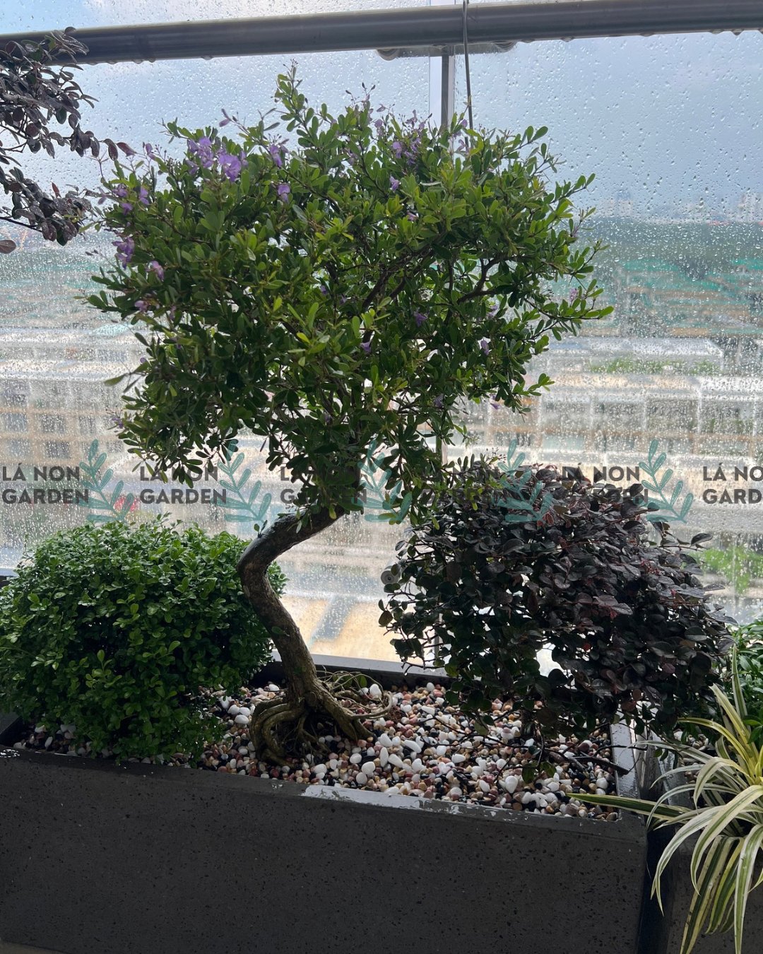 COMBO 1 BỒN NẮNG 2 (30*80cm)