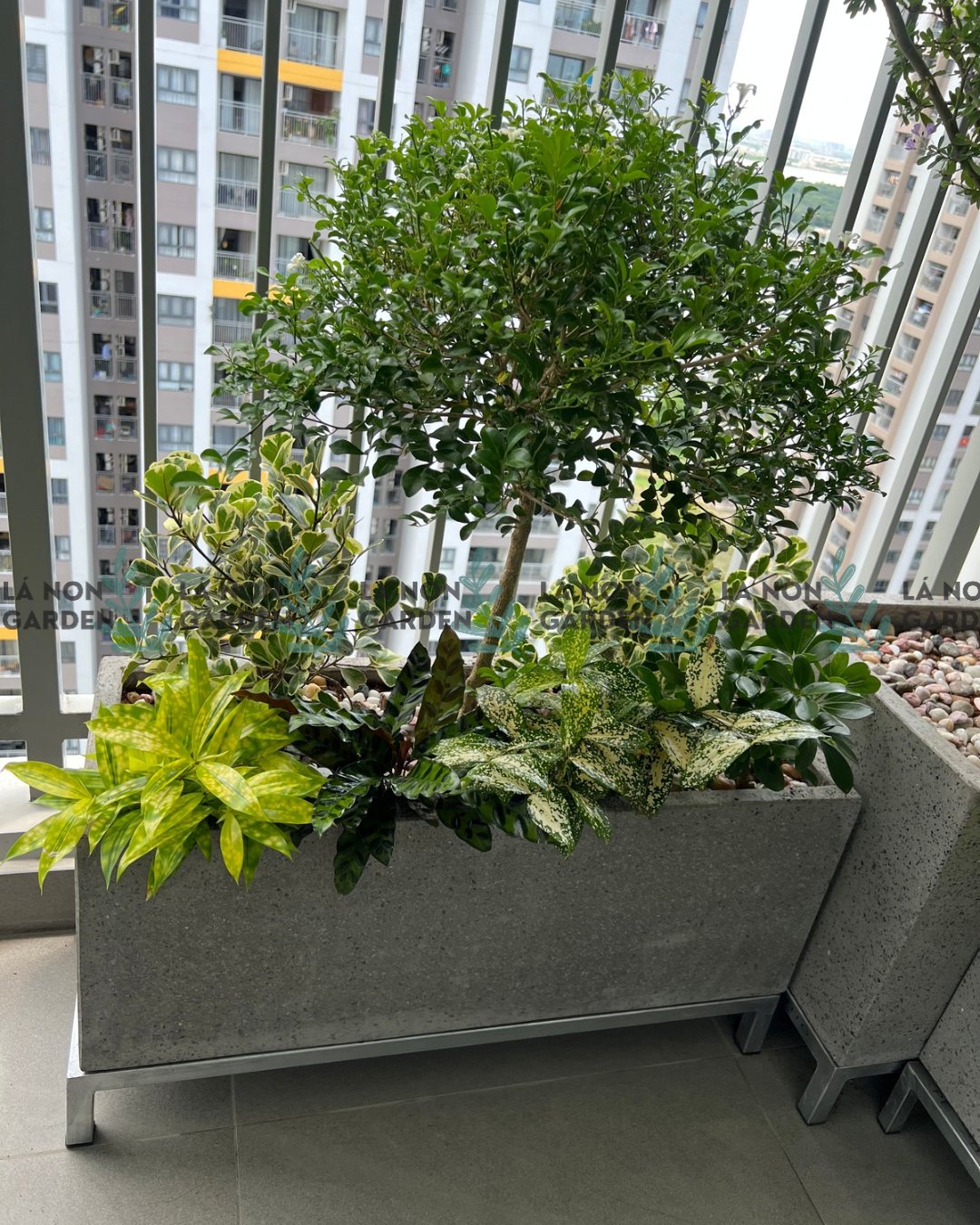 COMBO 1 BỒN NẮNG 1 (30*80cm)