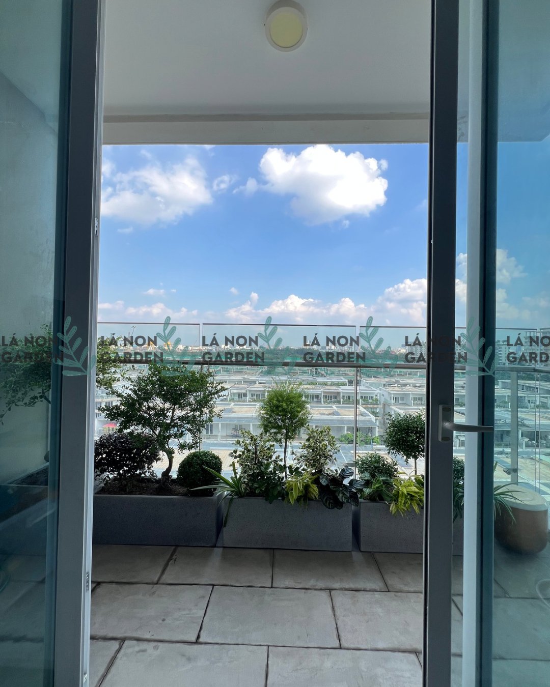 VŨ ĐIỆU HOA NẮNG