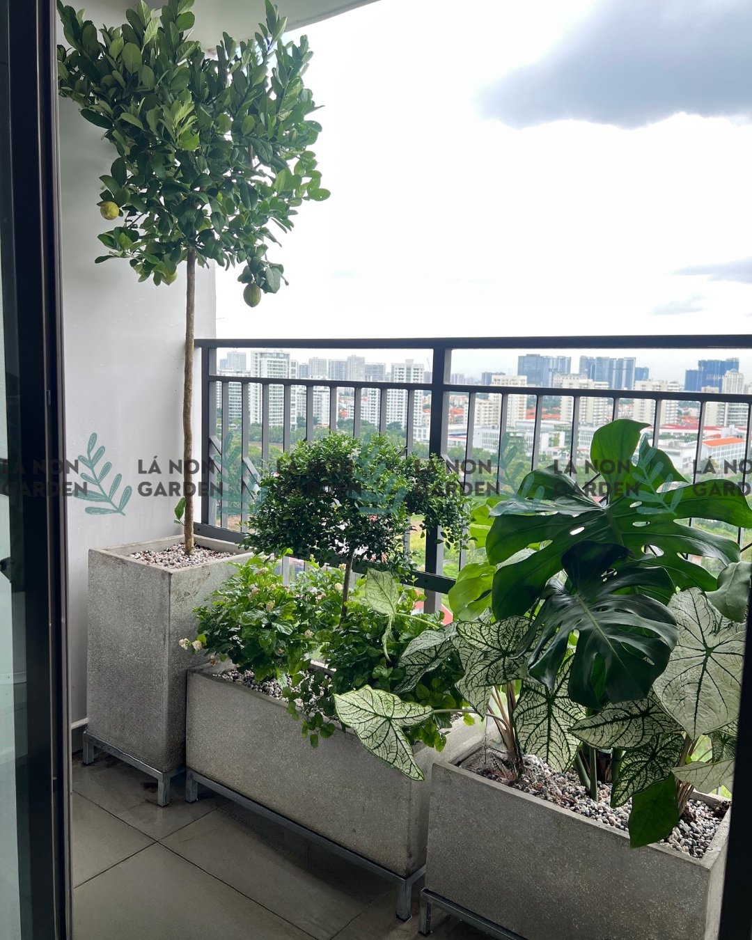 🌿 HƯƠNG LÁ🌿