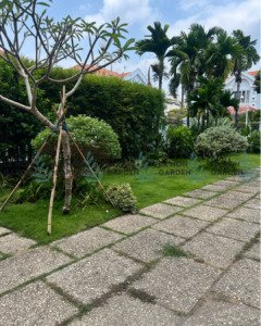 PROJECT: UPGRADE SÂN VƯỜN AN KHÁNH (Q.2) ✨