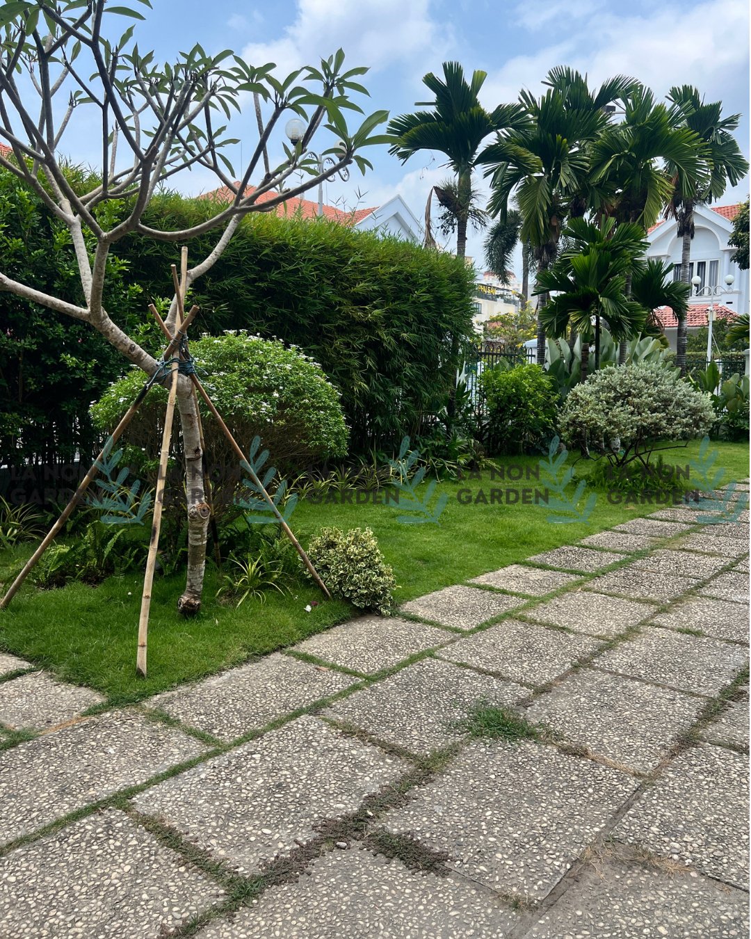PROJECT: UPGRADE SÂN VƯỜN AN KHÁNH (Q.2) ✨
